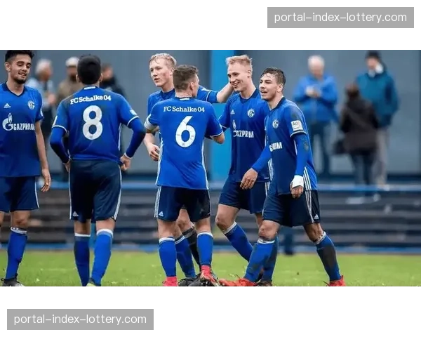 云达不莱梅1-1战平海登海姆，保级关键战各取一分