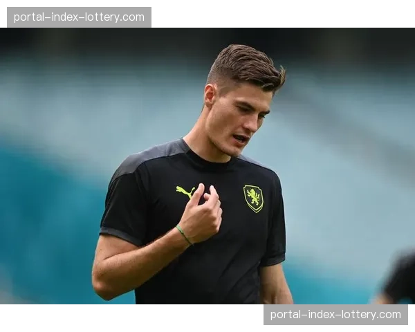 聚焦：19岁捷克新星门希克，阳光双赛的黑马之旅